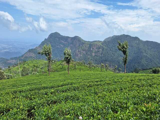Ooty Taxi Service | Taxi Rental In Ooty | Ooty Cab Booking | Best Taxi In Ooty | Taxi Service Near Ooty | Ooty Sightseeing Taxi | Local Cabs In Ooty | Ooty Tour Packages | Ooty Local Sightseeing | Ooty Travels | Best Travels In Ooty | Taxi Hire Ooty | Ooty Hotels | Rooms In Ooty | Budget Hotels In Ooty | Luxury Hotels In Ooty | Ooty Honeymoon Packages | Ooty Group Packages | Ooty Student Packages | Ooty Family Tour Packages | Ooty Mudumalai Packages | Ooty Masinagudi Tour | Ooty Cab Rental | Ooty Online Taxi Booking | Ooty To Coimbatore Taxi | Ooty To Mysore Cab | Ooty To Bangalore Taxi | Ooty To Coonoor Cab | Ooty Local Tour Packages | Ooty Sightseeing Cab | Best Cab Service Ooty | Ooty Hotel Booking | Ooty Cottages | Ooty Lodges | Ooty Travel Agency | Ooty Day Trip Packages | Ooty Private Tours | Affordable Taxi Ooty | 24 Hours Taxi Ooty | Ooty Sightseeing Tour | Ooty Customized Tours | Cab Booking Near Ooty | Cheap Taxi Service Ooty | Hill Station Taxi Ooty | Ooty Tourist Cab | Ooty Tourism Package | Ooty Car Rental | Top Rated Taxi Ooty | Ooty Trip Planner | Ooty Holiday Packages