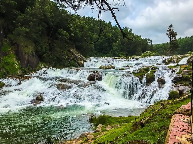 Ooty Taxi Service | Taxi Rental In Ooty | Ooty Cab Booking | Best Taxi In Ooty | Taxi Service Near Ooty | Ooty Sightseeing Taxi | Local Cabs In Ooty | Ooty Tour Packages | Ooty Local Sightseeing | Ooty Travels | Best Travels In Ooty | Taxi Hire Ooty | Ooty Hotels | Rooms In Ooty | Budget Hotels In Ooty | Luxury Hotels In Ooty | Ooty Honeymoon Packages | Ooty Group Packages | Ooty Student Packages | Ooty Family Tour Packages | Ooty Mudumalai Packages | Ooty Masinagudi Tour | Ooty Cab Rental | Ooty Online Taxi Booking | Ooty To Coimbatore Taxi | Ooty To Mysore Cab | Ooty To Bangalore Taxi | Ooty To Coonoor Cab | Ooty Local Tour Packages | Ooty Sightseeing Cab | Best Cab Service Ooty | Ooty Hotel Booking | Ooty Cottages | Ooty Lodges | Ooty Travel Agency | Ooty Day Trip Packages | Ooty Private Tours | Affordable Taxi Ooty | 24 Hours Taxi Ooty | Ooty Sightseeing Tour | Ooty Customized Tours | Cab Booking Near Ooty | Cheap Taxi Service Ooty | Hill Station Taxi Ooty | Ooty Tourist Cab | Ooty Tourism Package | Ooty Car Rental | Top Rated Taxi Ooty | Ooty Trip Planner | Ooty Holiday Packages